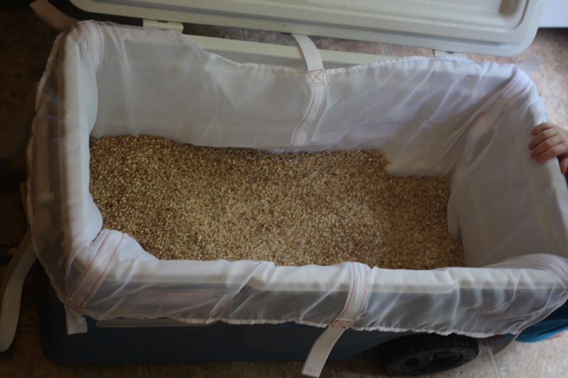 13 pounds of grains in the bag