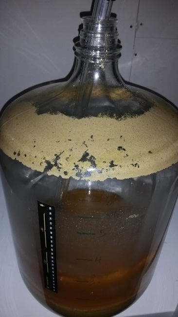 Dirty Carboy
