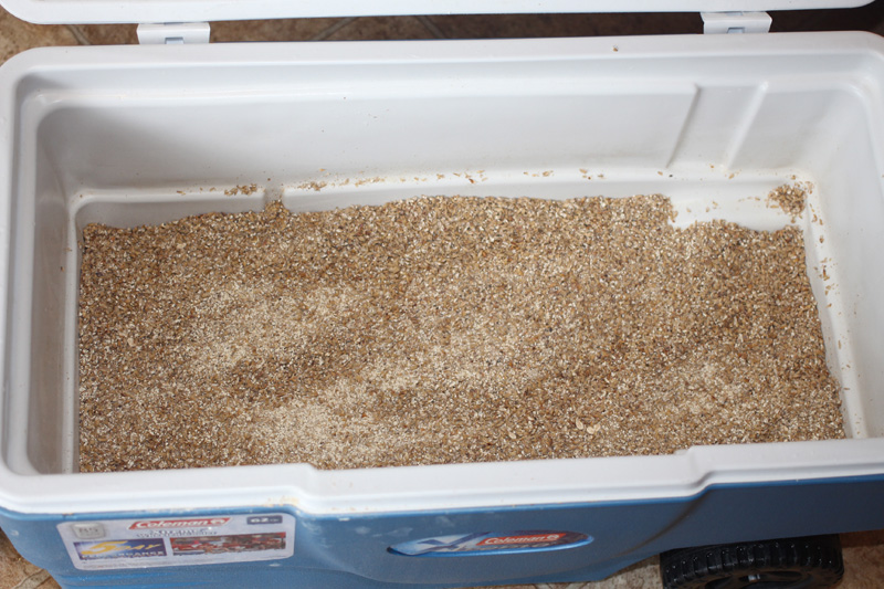 grains in a cooler