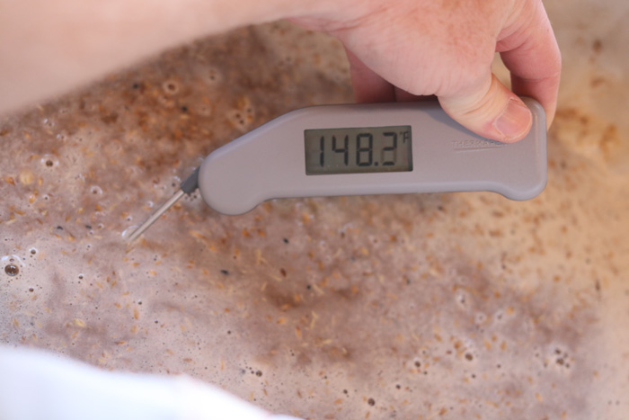 Thermapen