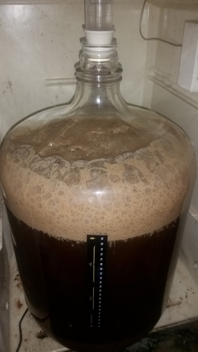 Irish red in carboy